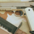 沙漠勇士(政府型M1911手槍)