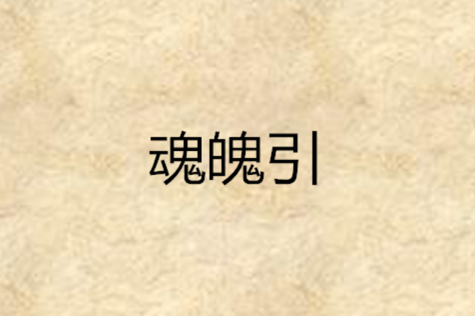 魂魄引 魂魄引