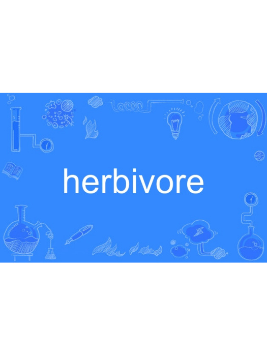 herbivore herbivore
