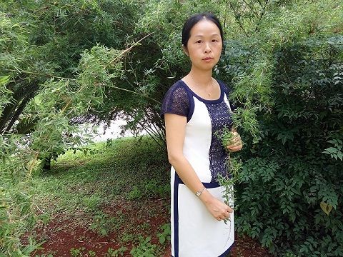 楊雪瓊 楊雪瓊