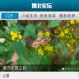 姚北論壇