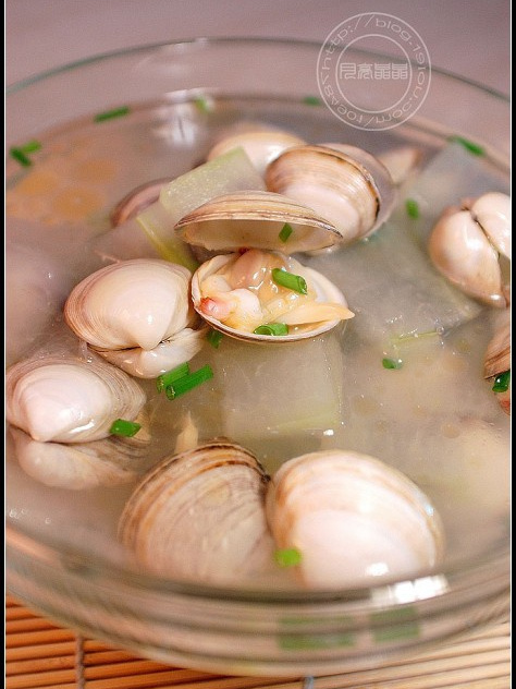 沙白冬瓜湯 沙白冬瓜湯