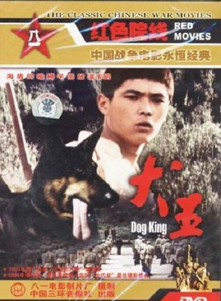 常曉陽(中國內地導演、演員) 常曉陽(中國內地導演、演員)