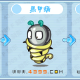 黑翅飛蛾 黑翅飛蛾
