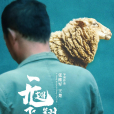 無翅飛翔 無翅飛翔