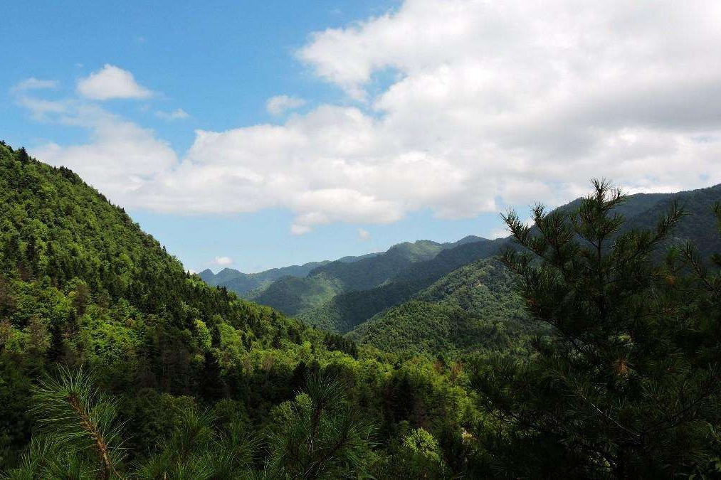 陝西平河梁國家級自然保護區