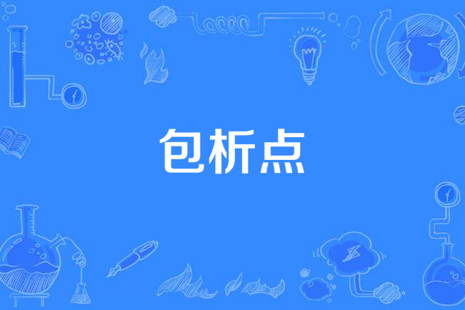 包析點 包析點