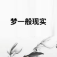 夢一般現實 夢一般現實