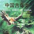 中國古鳥類