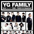 YGfamily上海音樂盛典