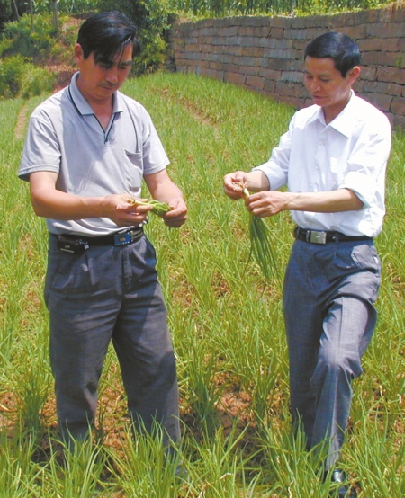 文建明（右）在指導農民種植小蔥