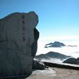 陽山縣