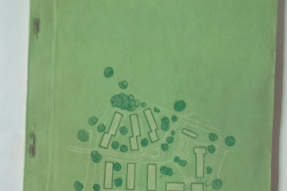 街坊綠化 街坊綠化