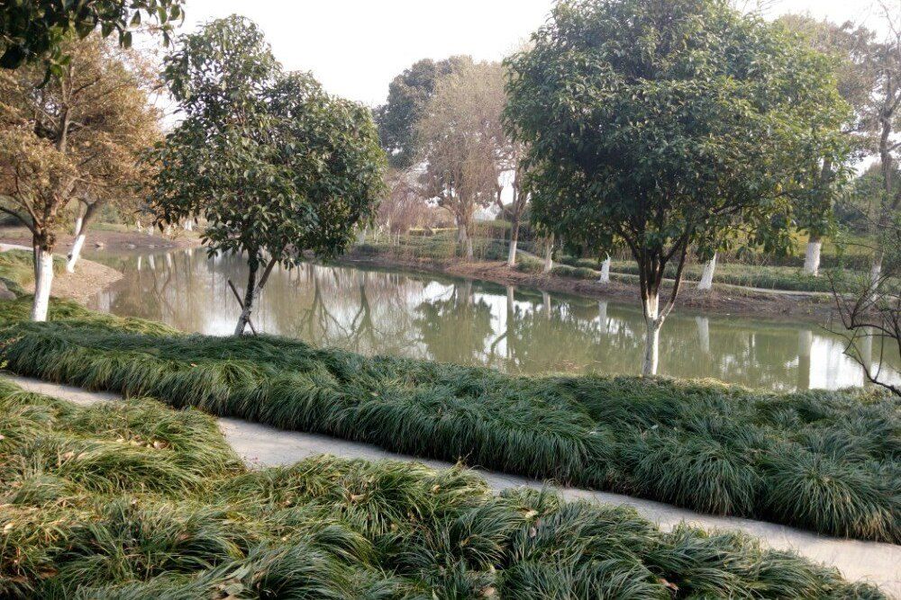 西廬園 西廬園
