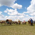阿魯科爾沁草原遊牧系統