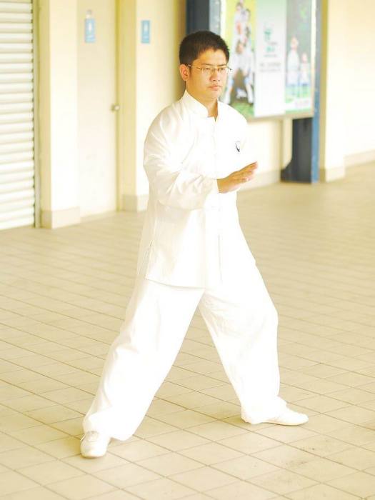 孫永成(武當趙堡太極拳第十三代傳人) 孫永成(武當趙堡太極拳第十三代傳人)