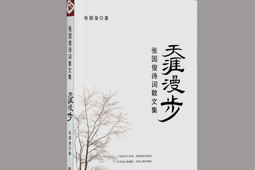 天涯漫步 天涯漫步