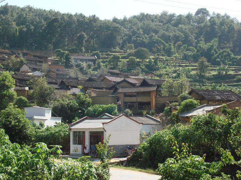 街中自然村 街中自然村