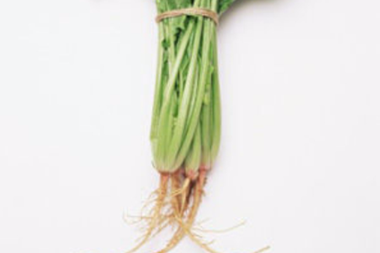 菠菜根 菠菜根