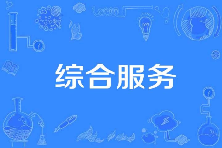 綜合服務(計算機科學技術名詞) 綜合服務(計算機科學技術名詞)