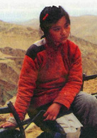 黃土地(1984年陳凱歌執導電影) 黃土地(1984年陳凱歌執導電影)