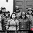 羊仁安 羊仁安