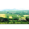 寺古窪村 寺古窪村