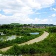 新王橋村 新王橋村