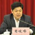 肖峻峰(安徽工業大學教授) 肖峻峰(安徽工業大學教授)