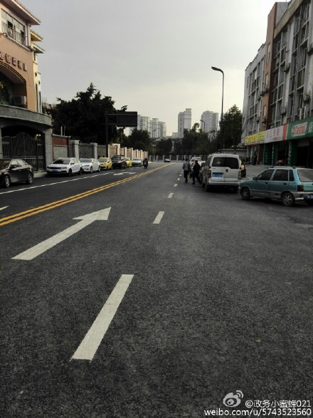 麗景路(成都市天府新區華陽街道市政道路) 麗景路(成都市天府新區華陽街道市政道路)