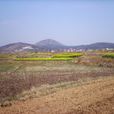 公村(河北省廣宗縣塘疃鄉下轄村) 公村(河北省廣宗縣塘疃鄉下轄村)