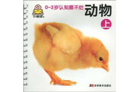 動物上 動物上