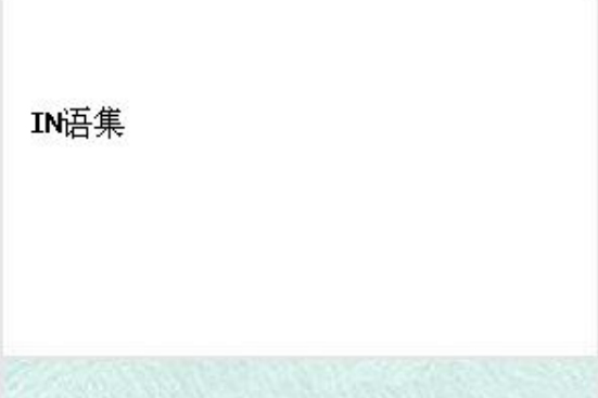 IN語集 IN語集