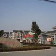百壽村 百壽村