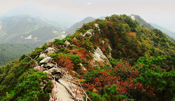 河南大別山國家級自然保護區