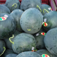 黛妃(西瓜品種) 黛妃(西瓜品種)