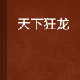 天下狂龍