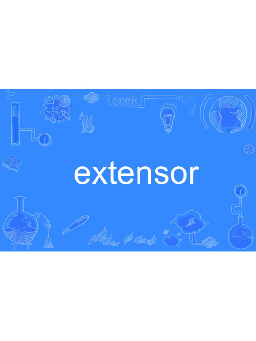 extensor extensor