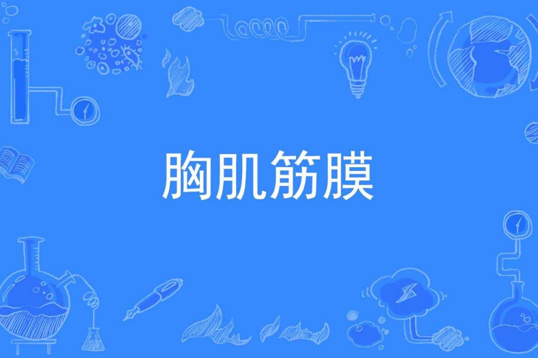 胸肌筋膜