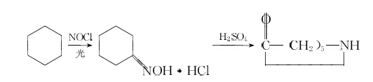 聚醯胺-6