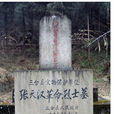 張天漢 張天漢