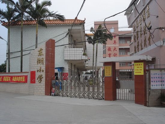 東湖國小(廣東省廣州市花都區花山鎮東湖國小)
