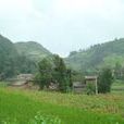坡腳村(雲南省羅平縣板橋鎮舍邦歹村委會坡腳村) 坡腳村(雲南省羅平縣板橋鎮舍邦歹村委會坡腳村)