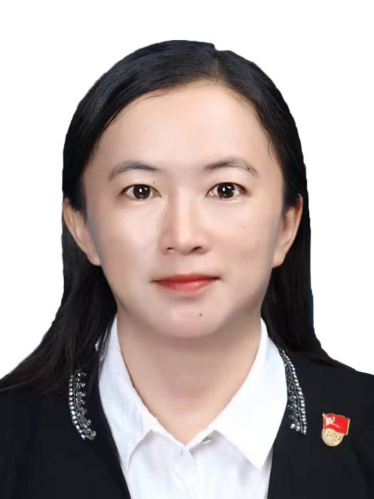 白蘭(雲南省西雙版納州景洪市人大常委會黨組成員、副主任) 白蘭(雲南省西雙版納州景洪市人大常委會黨組成員、副主任)