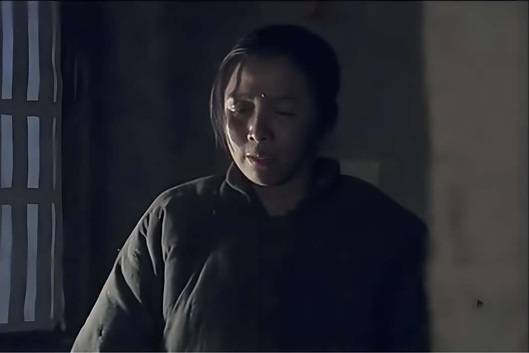 於寶珍(戰爭劇《沂蒙》中的女性角色) 於寶珍(戰爭劇《沂蒙》中的女性角色)