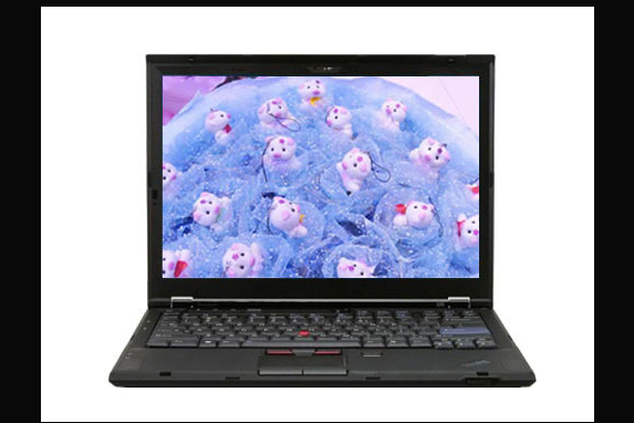 ThinkPad X300(6477HD1) ThinkPad X300(6477HD1)
