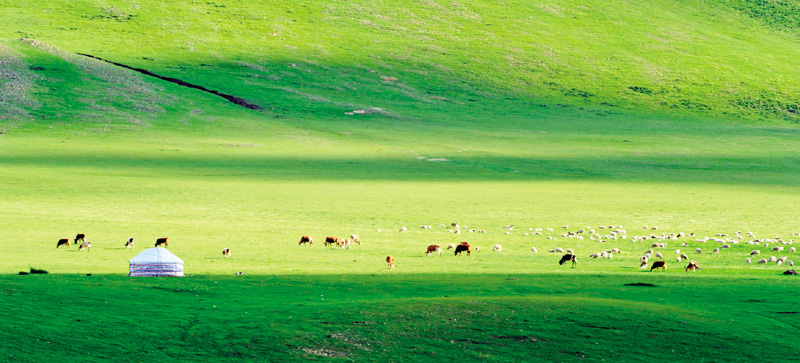 阿魯科爾沁草原遊牧系統