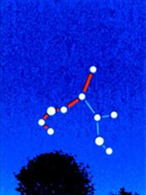南斗星(星座) 南斗星(星座)