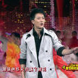 回家過年(2011年春晚開場歌曲) 回家過年(2011年春晚開場歌曲)
