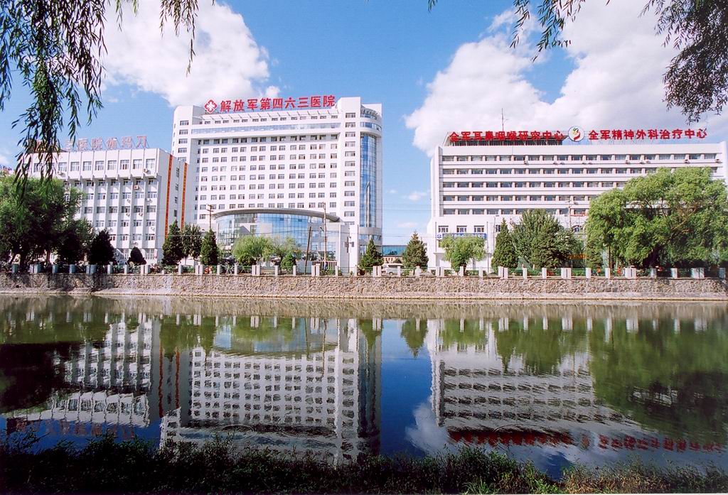 中國人民解放軍第463醫院